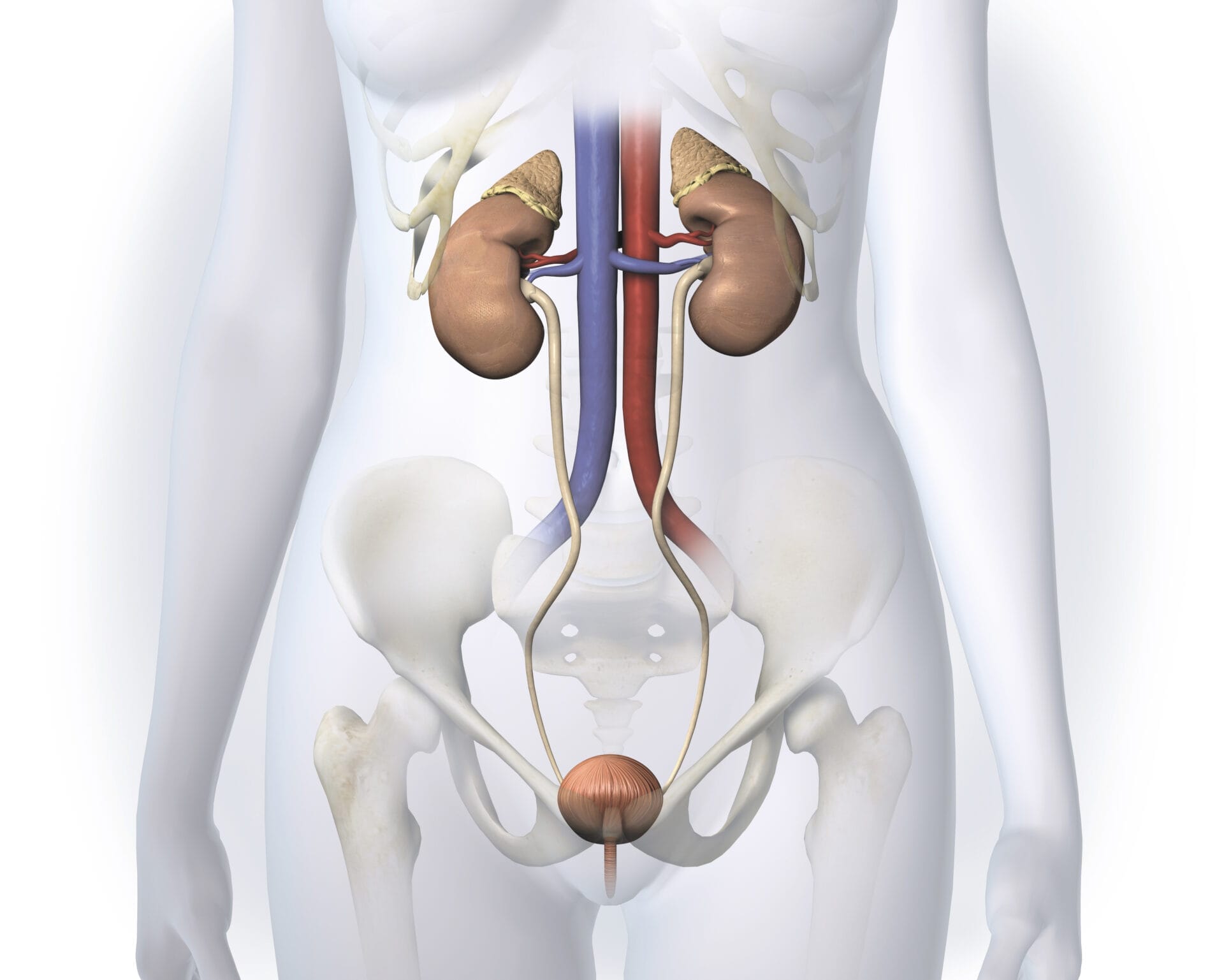 emma blog incontinence emma blog incontinence